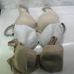 Cacique bras size 40DDD